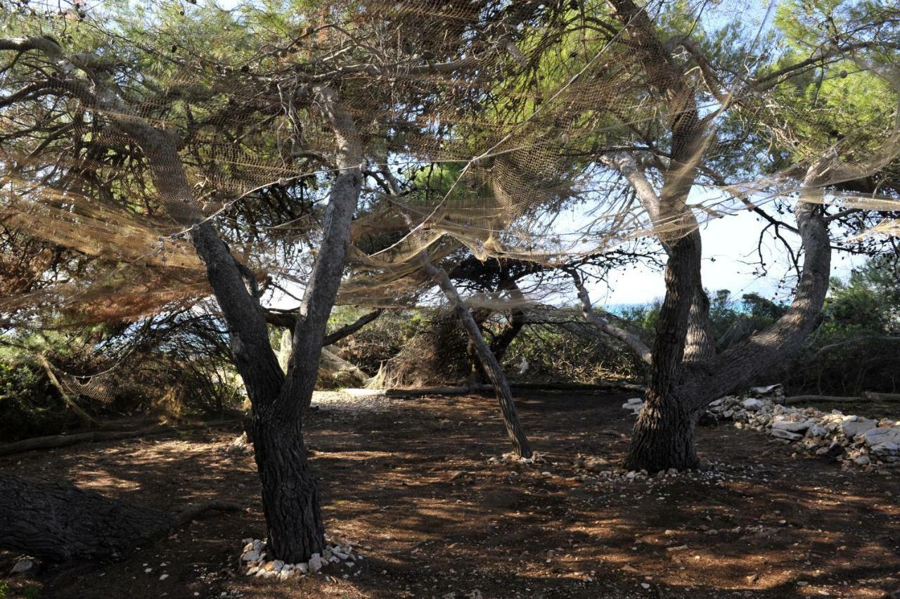 Grandpa Mate House Villa Dragove Dış mekan fotoğraf