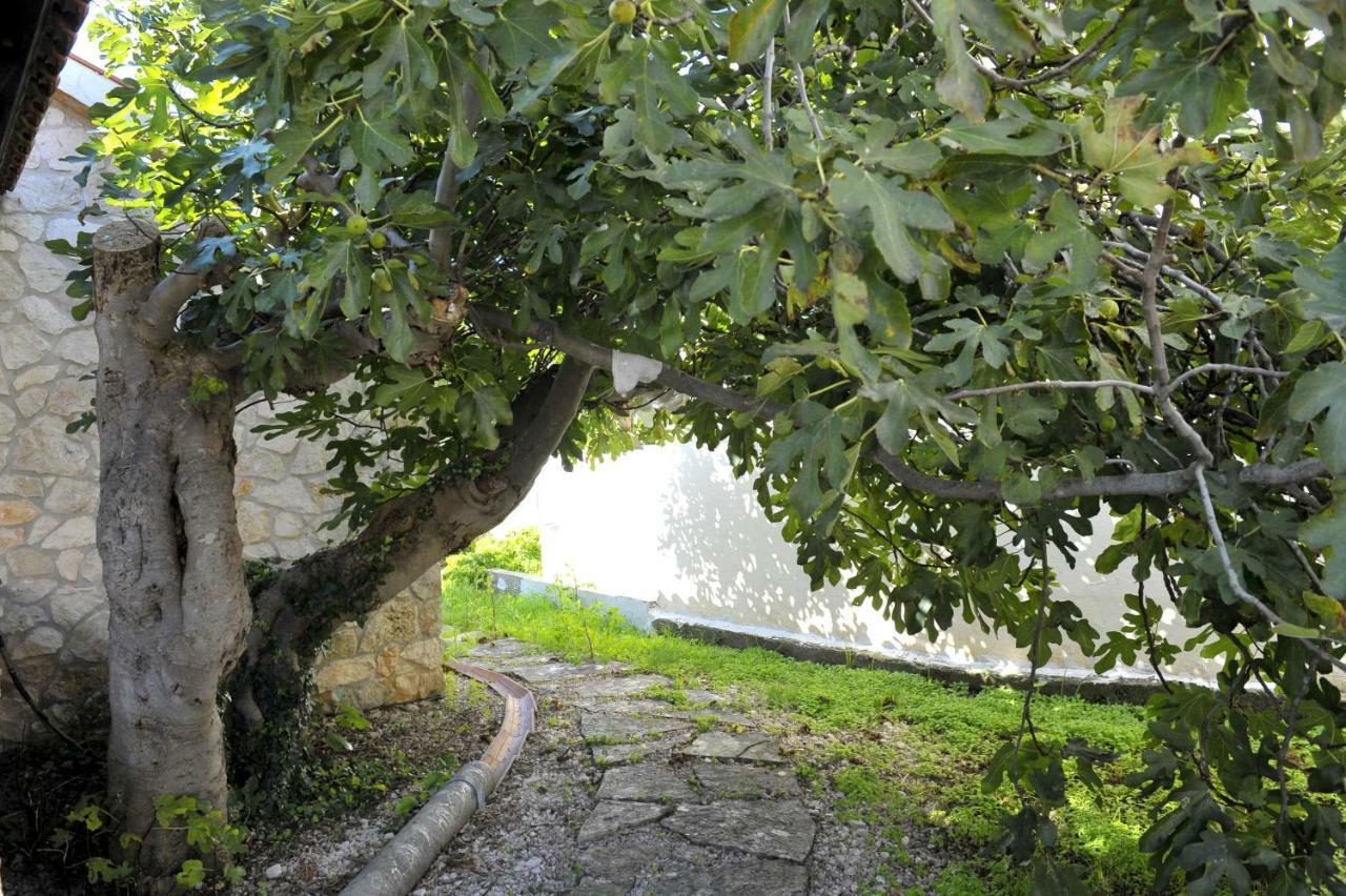 Grandpa Mate House Villa Dragove Dış mekan fotoğraf