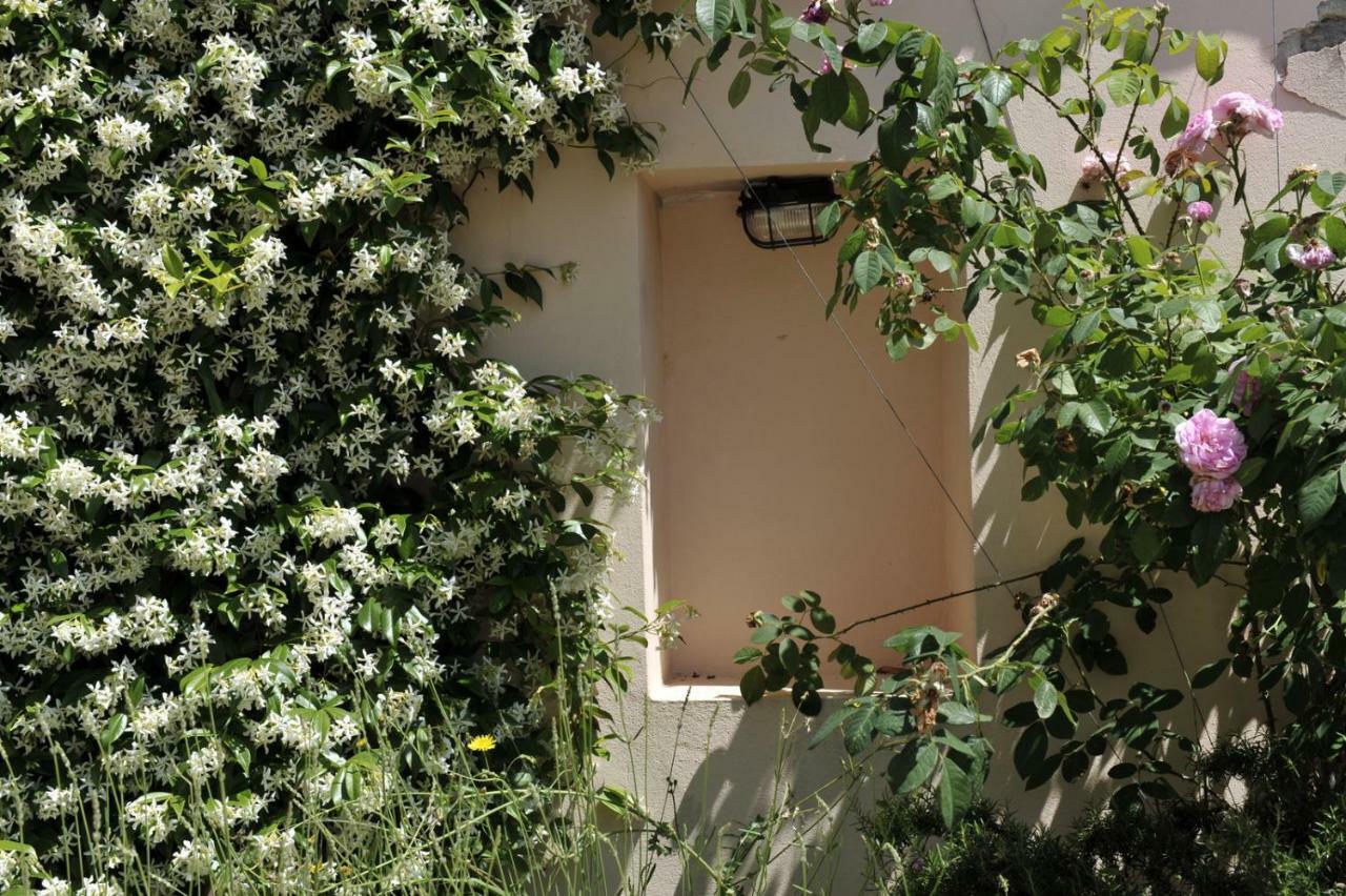 Grandpa Mate House Villa Dragove Dış mekan fotoğraf